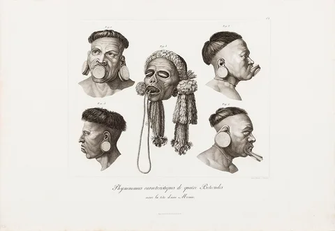 Anton Krüger, Physionomies caractéristiques de quatre Botocudes avec la tête d´une Momie