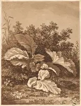 Antonín Karel Balzer, A Study of Leaves