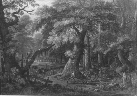 Wilhelm Friedrich Hirt, Borest with deer belling and fighting