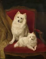 Auguste Corkole, Two Dogs on a Couch