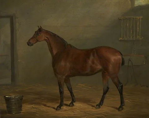 Joseph Maiden, Mr Nuttall's Pony, 'Jenny'