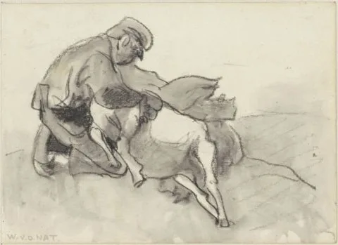 Willem van der Nat, Schapenscheerder