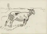 Willem van der Nat, Schaap in een weide