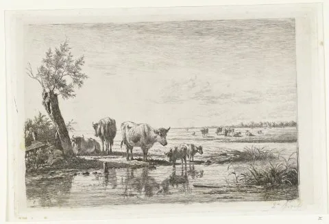 Simon van den Berg, Weidelandschap met koeien bij water