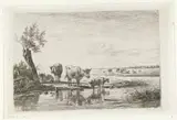 Simon van den Berg, Weidelandschap met koeien bij water