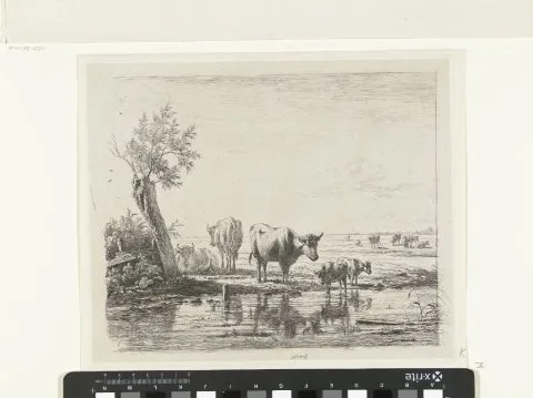 Simon van den Berg, Weidelandschap met koeien bij water