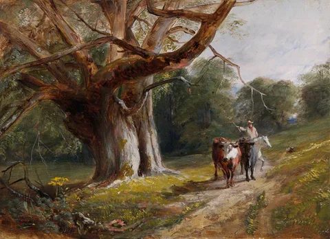 David Hall McKewan, Woodland Scene with Cows