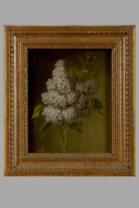Christiaan van Pol, Untitled