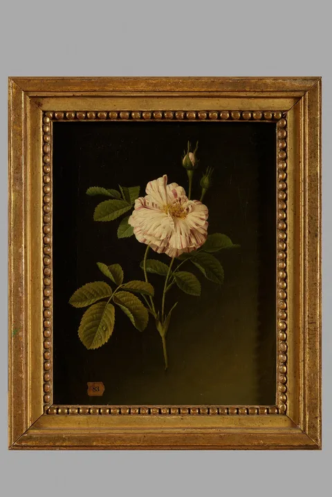 Christiaan van Pol, Untitled