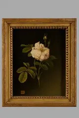 Christiaan van Pol, Untitled