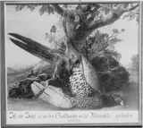 Johann Amandus Winck, Untitled