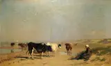 Richard Burnier, Cattle on the Seashore