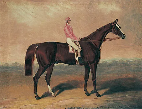 Samuel Spode, Birdcatcher, with jockey up