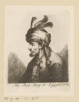 Johann Andreas Benjamin Nothnagel, Portret van Ali Bey al-Kabir