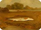 James Inskipp, Barbel