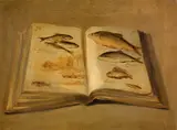 James Inskipp, Book of Fish