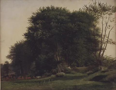 Wilhelm Xylander, Skovlysning med kvæg