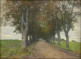 Hans Dall, An avenue with gravel road.