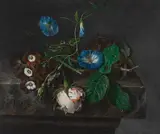 Dismar Degen, Untitled