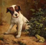 Charles Grant Beauregard, Terrier and Toad