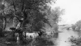 Charles Grant Beauregard, Cows watering by a stream
