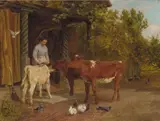 Charles Collins, Feeding time