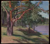 Władysław Majewski, Forest on the Neman I