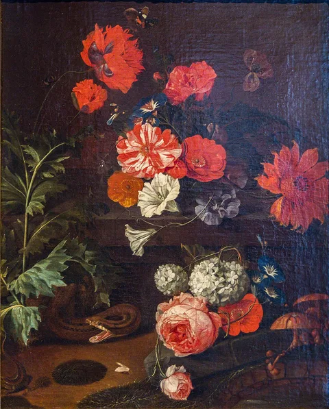 David Cornelisz de Heem, Untitled