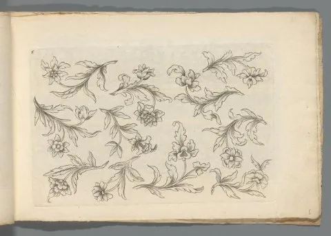 Abraham Helmhack, Vor unterschiedliche Professionen dienliches Laubwerck. Anderer Theil