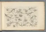 Abraham Helmhack, Vor unterschiedliche Professionen dienliches Laubwerck. Anderer Theil
