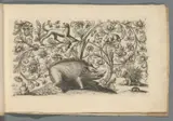Abraham Helmhack, Vor unterschiedliche Professionen dienliches Laubwerck. Anderer Theil