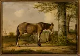Georg Köbel, Horse by a tree