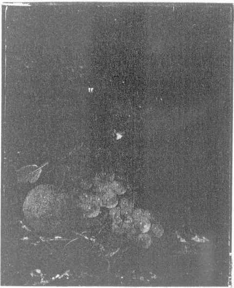 Harmen Loeding, Untitled