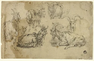 Johann Gottlieb Hackert, Sketches of Goats