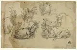 Johann Gottlieb Hackert, Sketches of Goats