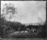 Cantius Dillis, Untitled