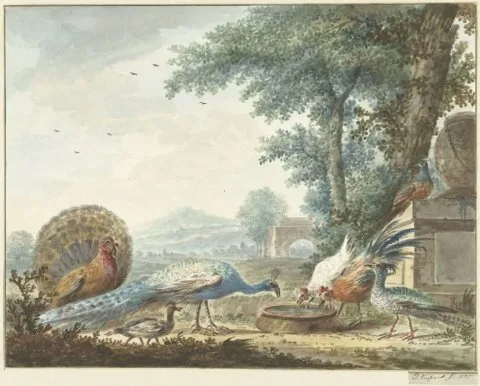 Dirk Kuipers, Hoenderhof