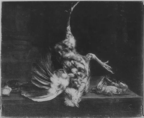 Adrianus van Ysselsteyn, Untitled
