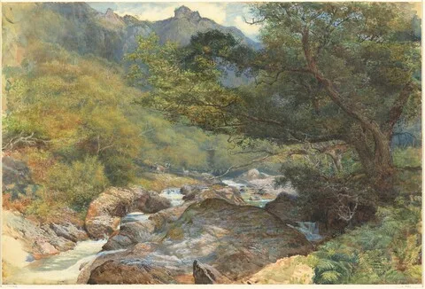 William Henry Millais, On the East Lyn, North Devon