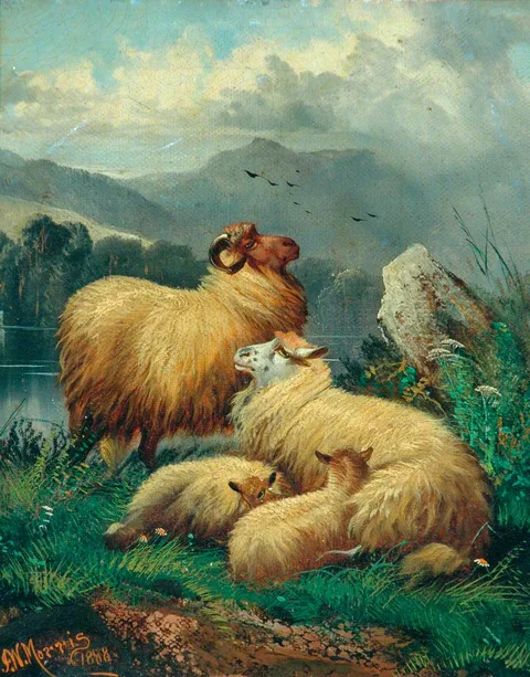 John W. Morris, Highland Sheep