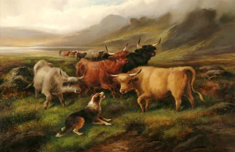 John W. Morris, Highland Cattle in Mountain Scene