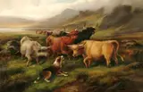 John W. Morris, Highland Cattle in Mountain Scene