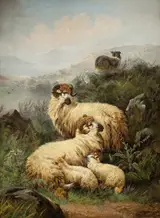 John W. Morris, Mountain Sheep