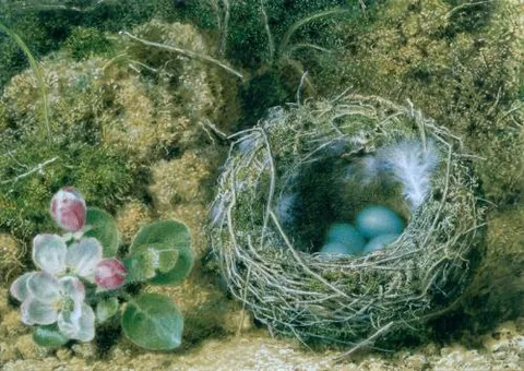 John Sherrin, A Bird's Nest And Apple Blossom by John F Sherrin - John Sherrin