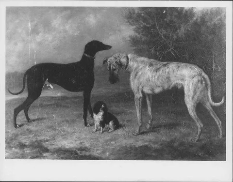 George Morley, "Nero", "Dash" and "Hector"