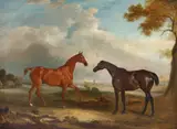 John Ferneley, Two Hunters called 'Cock Robin' and 'Langar'
