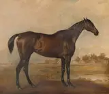 John Ferneley, A Hunter called 'Nightmare'