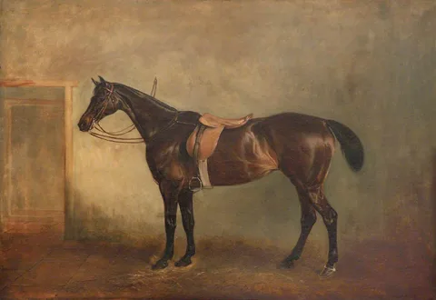 John Ferneley, A Hunter
