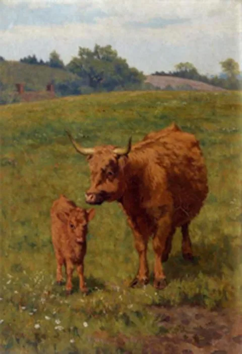 Bryan Hook, Cow and Calf