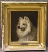 Thomas Robinson, Spitz Dog